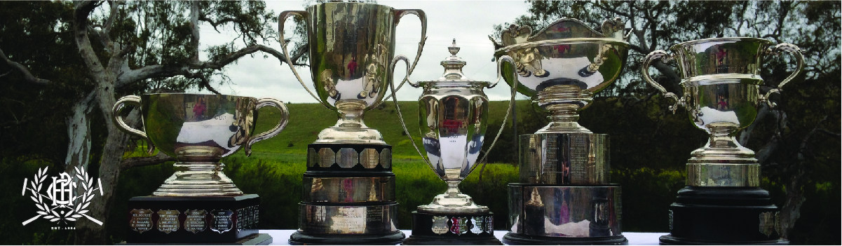 Hexham Polo Club Silverware