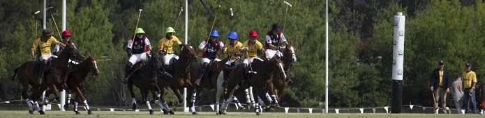 Australian Polo Federation