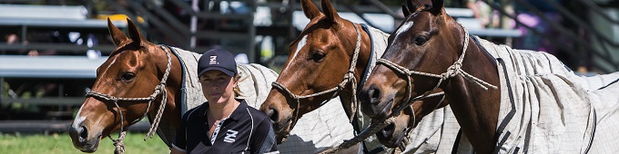 Australian Polo Federation